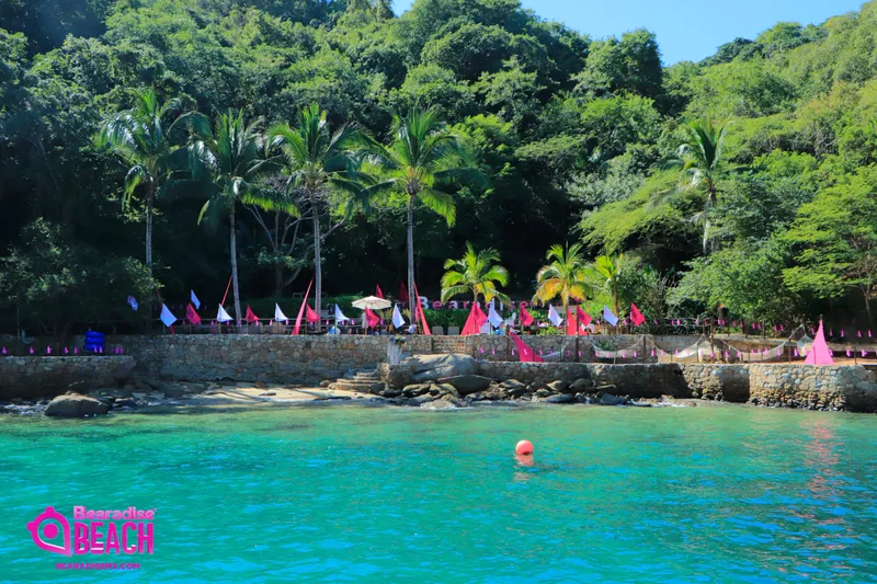 Bearadise Beach